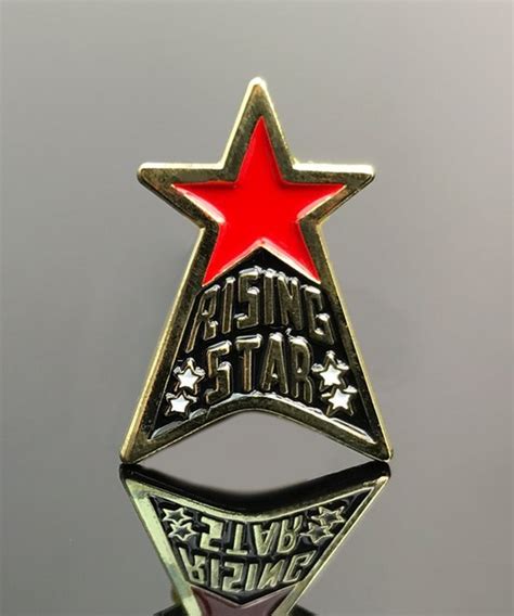 Recognition Pin Star Performer