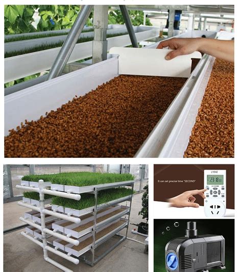 Good Price Greenhouse Hydroponics Fodder Plant Trays For Hydroponic