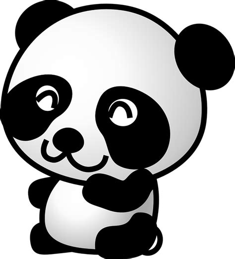 แพนด้า หมี สัตว์ กราฟิกแบบเวกเตอร์ฟรีบน Pixabay