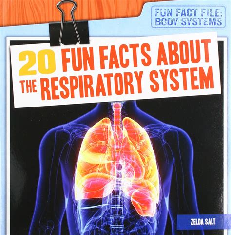 Buy 20 Fun Facts About The Respiratory System Fun Fact File Body