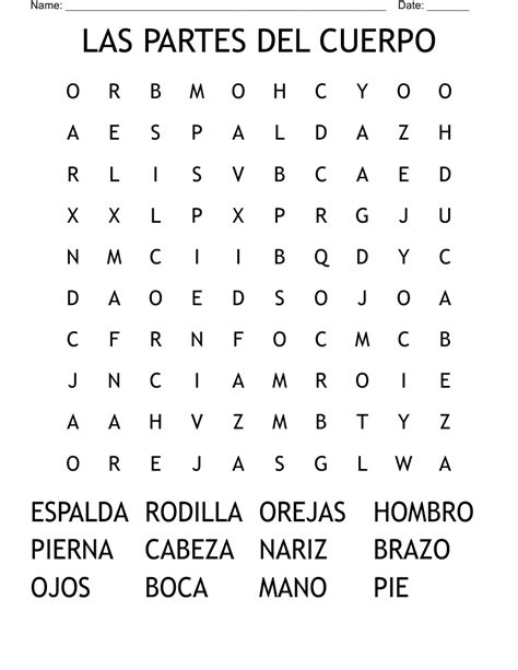 Las Partes Del Cuerpo Word Search Parts Of The Body In Spanish By The Best Porn Website