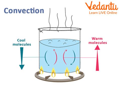 Heat Convection Overview Examples And Faqs