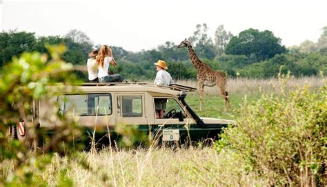 Wildlife Safari Tour Packages Africa African Safari Package