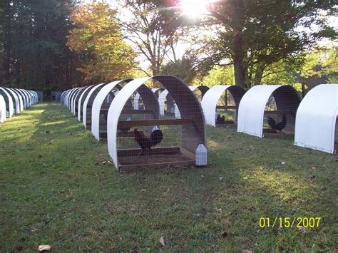 Fighting rooster cages for sale. Sabong is a cockfighting and gamefowl, gamecock portal ...