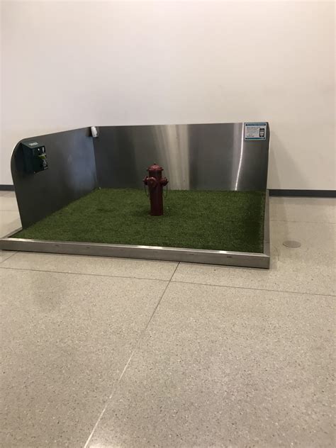 This Pet Relief Station At Charolette Douglas Airport In North Carolina