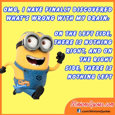 Omg Funny Quotes Quotesgram