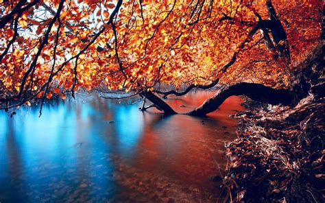 Hd Wallpaper With Branches In Autumn Colors In The Water