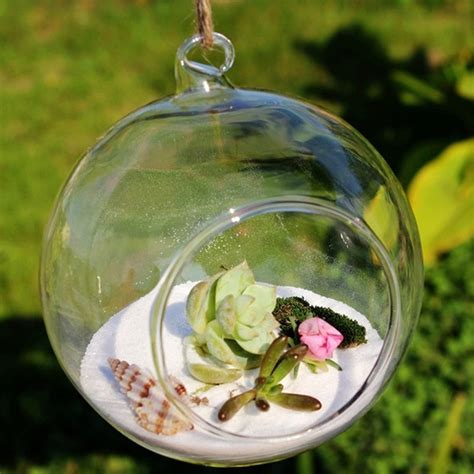 Hot Terrarium Ball Globe Shape Clear Hanging Glass Vase Flower Plants Terrarium Container Micro