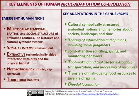 The Human Niche An Overview The Biocultural Evolution Blog