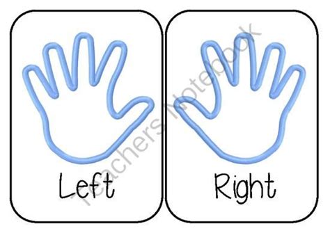 A Display To Help Your Students Distinguish Their Left From Their Right