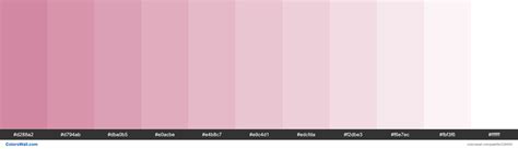 Matte Pink Colors Palette Colorswall