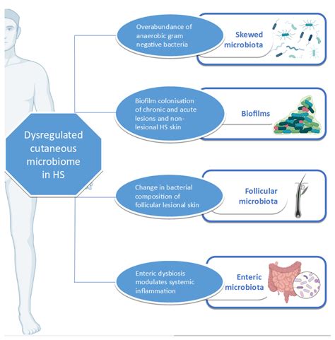 Vaccines Free Full Text The Clinical Relevance Of The Microbiome In