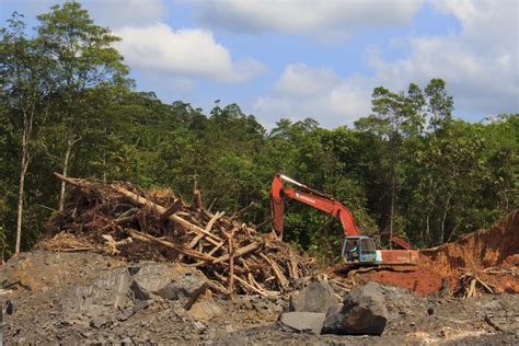 Deforestation In Malaysia Statistics Because Many Primary Commodities