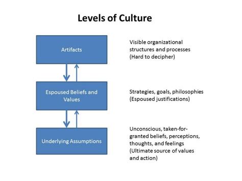 Levels Of Culture