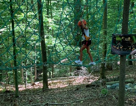 Treetop Quest Roanoke All You Need To Know Before You Go