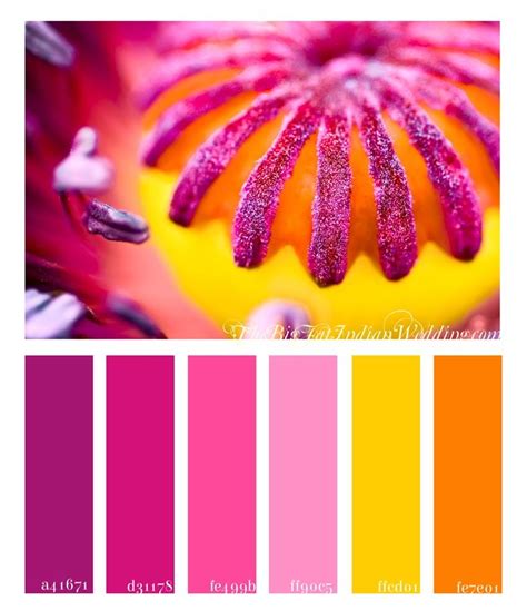 Poppy Pink Color Palette Monday Color Palette Pink Color Schemes