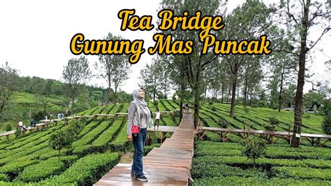 Tea Bridge Gunung Mas Puncak Youtube