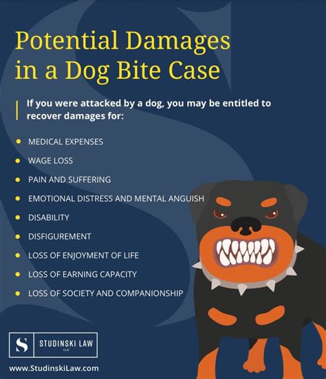 Wisconsin Dog Bite And Animal Attack Lawyers Studinski Law