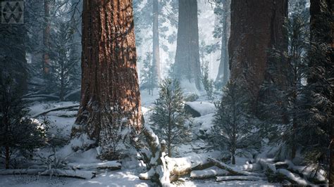 Willi Hammes Ue4 Redwood Forest V2 Winter Update
