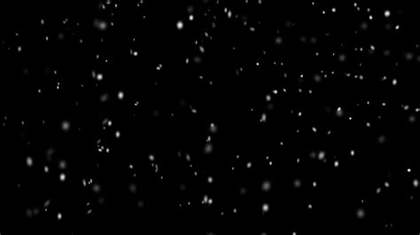 Snow Falling On A Black Background 2021542 Stock Video At Vecteezy