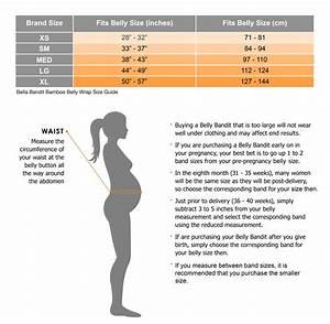 Pregnancy Belly Growth Chart Beautiful Woman Vector