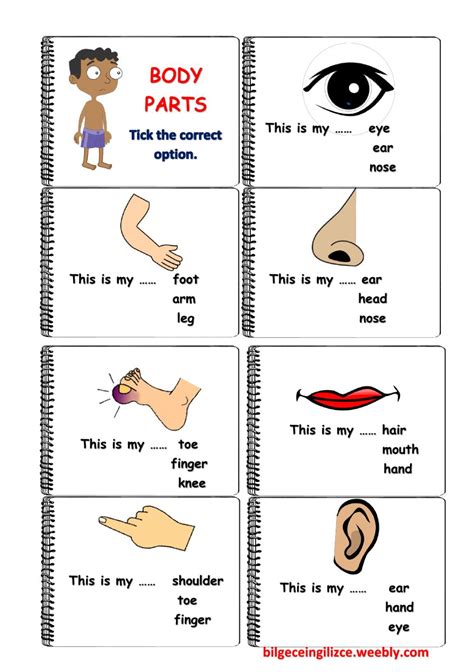 Body parts english worksheet for kids esl printable picture dictionary. BODY PARTS(with video): The parts of the body worksheet