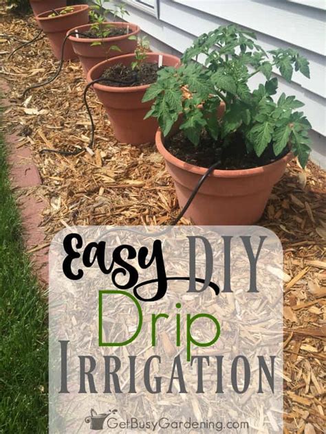 This is much better than the traditional overhead watering, which doesn't always transfer moisture to the roots in an effective manner. Easy DIY Garden Drip Irrigation System