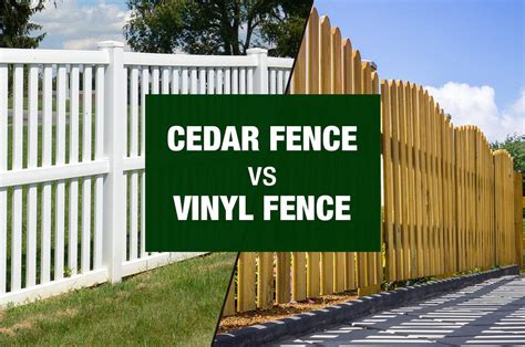 Cedar Fence Or Vinyl Fence