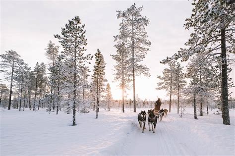 Review Onze Ervaring Met Lapland Travel Reisjunk