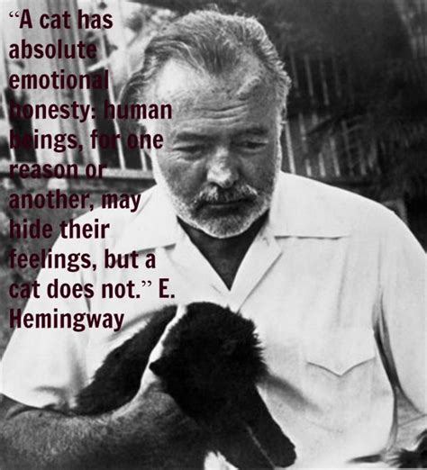 Ernest Hemingway Quotes About Cats Quotesgram