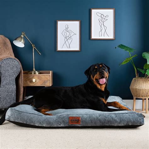Slumberdown gets tails wagging with new product range | John Cotton