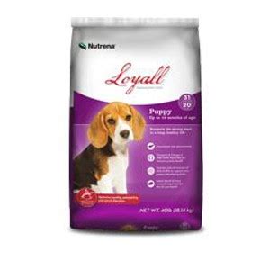 Nutrena loyall life puppy food Nutrena Loyall Life Puppy Food