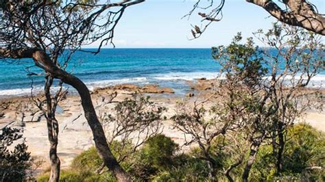 Sunburnt Beach Campground Shoalhaven South Coast Nsw