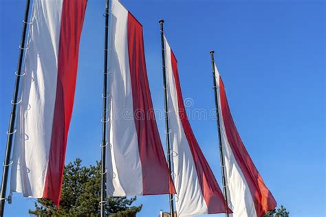 Polish Flags Against Blue Sky Flags Of Poland On The Wind