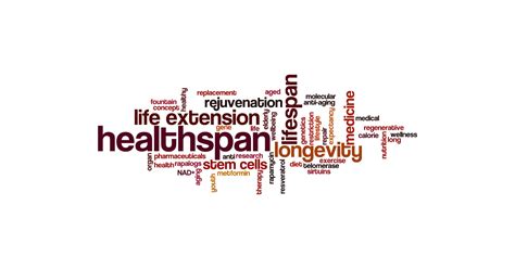 Healthspan Vs Lifespan Which One Is Better Biohackers Lab