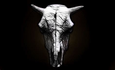 Bull Skull Wallpapers Top Free Bull Skull Backgrounds Wallpaperaccess