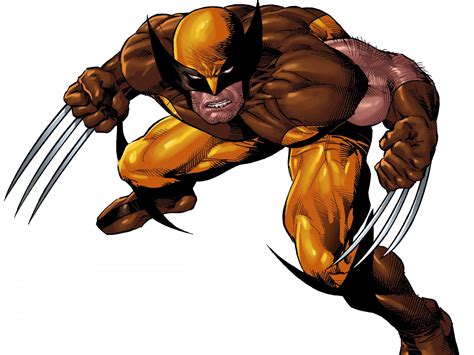 Wolverine Full Hd Wallpaper And Background Image 2560x1919 Id422794
