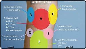 A Brief Introduction About Knee Location Chart