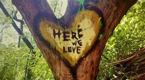 Hippie Tree A Haunted Location Traverse City Michigan