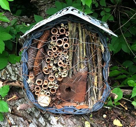 How To Create Habitat For Solitary Bees Hobby Farms