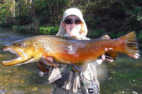 If you are a true fan of trout, then you can have it in various cuisines. Best Times To Fish Michigan Steelhead | When Fish ...