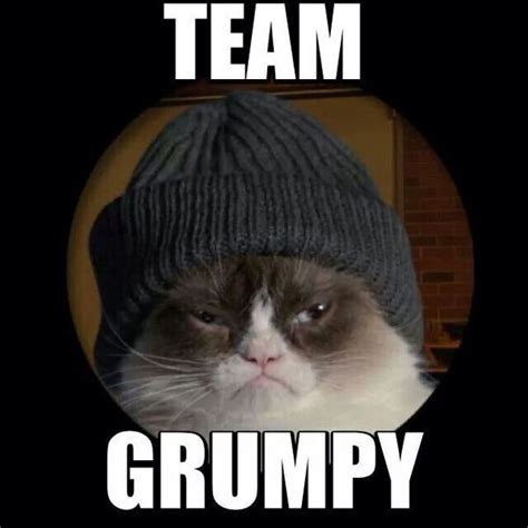 Team Grumpy Grumpy Cat Funny Grumpy Cat Memes Grumpy Cat Meme