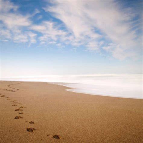 10 Top Footprints In The Sand Pictures Full Hd 1920×1080 For Pc Desktop