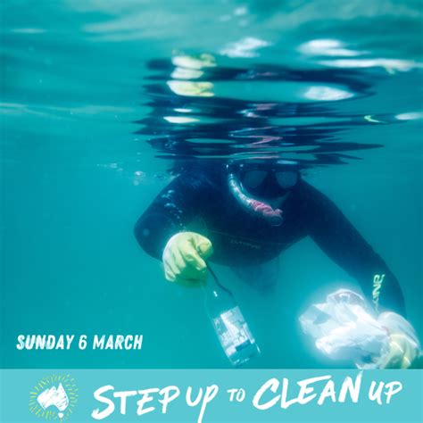 Clean Up Australia Day Gecko Environment Council