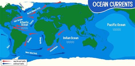 Corrientes Oceánicas En El Mapa Del Mundo Vector Gratis