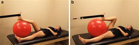 The extremity remains in constant contact with the immobile surface. Rehabilitation of Postoperative Hip | SpringerLink