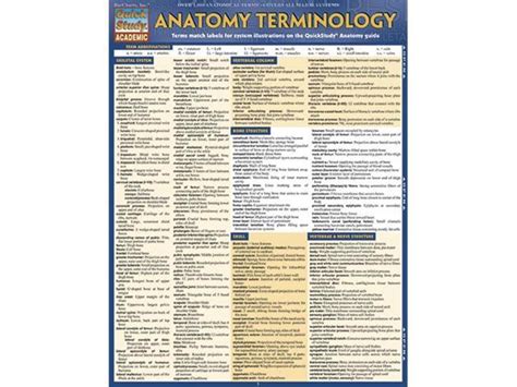 Barcharts 9781423216322 Anatomy Terminology Quickstudy Easel