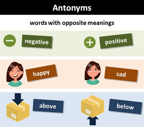 What Are Antonyms