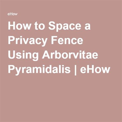 How To Space A Privacy Fence Using Arborvitae Pyramidalis Ehow