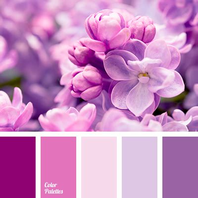 Shades Of Saturated Purple Color Color Palette Ideas